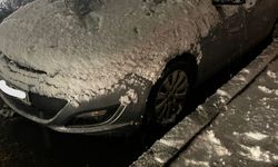 Hastanenin acil servisi önündeki ağacın yarısı koparak devrildi