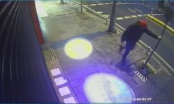 İstanbul - Kağıthane’de sinirlenip direkleri tekmeledi; ağaçlara zarar verdi