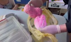 İstanbul - Pendik'te operasyon: 19 bin 800 adet uyuşturucu hap ele geçirildi; 1 kişi tutuklandı