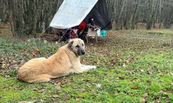 Istranca Dağları etekleri, doğa fotoğrafçıları ve kamp tutkunlarının gözdesi oldu / Ek fotoğraflar