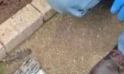 İzmir'de toprağa gömülü uyuşturucu ecza bulundu