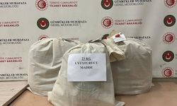 Kapıkule'de otomobilde 22 kilo esrar ele geçirildi