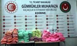Kapıkule'ye gelen TIR'daki 591 kilo uyuşturucuyu 'Bodri' buldu