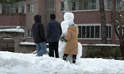 Karabük'te kar etkisini sürdürüyor (2)