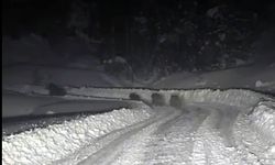 Kardan kapanan yolda çalışma yapan ekipler, 4 ayıyla karşılaştı