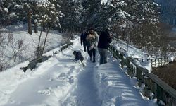 Karla kaplı Abant'ta eşsiz manzara