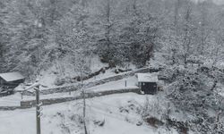 Kartepe'de seyirlik kar manzarası