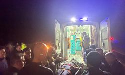 Kastamonu'da denize uçan otomobilin sürücüsü yaralandı