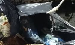  Konteyneri boşaltırken gördükleri ağzı bağlanmış poşetteki kediyi kurtardılar