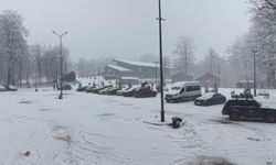 Kuzuyayla Tabiat Parkı'nda kar manzarası