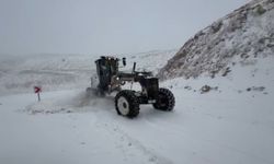Malatya'da ekiplerin karla mücadele çalışması (2)