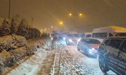 Mardin'de 180 yerleşim yerinin yolu kardan kapandı (3)