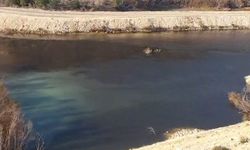 Mersin'de Göksu Nehri'nin rengi koyulaştı