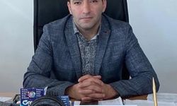 Midesindeki 9 pil, endoskopik yöntemle çıkarıldı