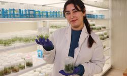 Öğrencileri olumsuz hava şartlarından korumak için fakültenin terasına sera kurdu / Ek fotoğraflar