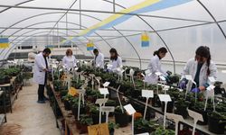 Öğrencileri olumsuz hava şartlarından korumak için fakültenin terasına sera kurdu