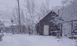 Ordu’nun yüksekleri beyaza büründü