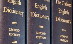 Oxford Sözlüğü 2025 yılının kelimesini seçti: Öfke yemi