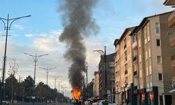 Park halindeki minibüs yandı