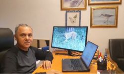 Prof. Dr. Sözen: Ağaçtaki Anadolu Parsı değil, vaşak