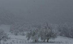 Samsun'un yüksek kesimlerinde kar etkili oldu