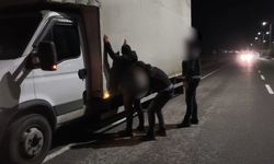 Şanlıurfa'da 43 bin paket kaçak sigara ele geçirildi