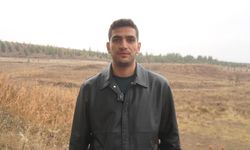 Siirt’te ilk safran üretimi