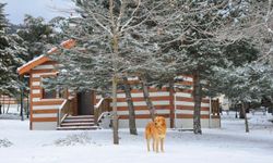 Spil Dağı, beyaz örtüyle kaplandı