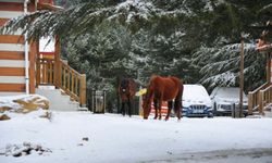 Spil Dağı, beyaz örtüyle kaplandı/Ek fotoğraflar