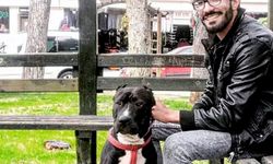 Temizlik nedeniyle çıkan tartışmada esnafı öldüren belediye işçisi: Öldürme amacım yoktu