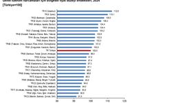 TÜİK: 2024'te fiyat düzeyi endeksi en yüksek bölge İstanbul oldu