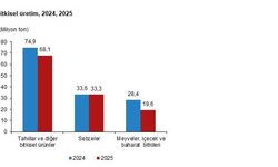 TÜİK: Bitkisel üretim miktarları 2025'te azaldı