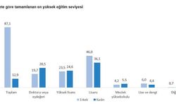 TÜİK: Teknogirişim ortaklarının yüzde 12,9'u kadın