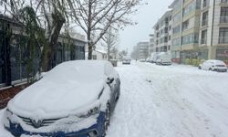 Tunceli'de 301 köy yolu kardan kapandı (2)