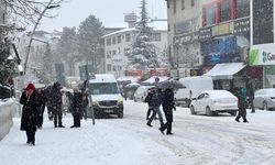 Tunceli'de 301 köy yolu kardan kapandı