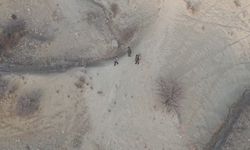 Tunceli'de yaban keçisi avlayanlara dron destekli operasyon