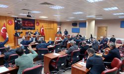 Türkiye ile Bulgaristan arasında yasa dışı göçle mücadele için proje başlatıldı