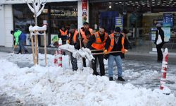 Van'da 228 yerleşim yeri kardan kapalı; okullar da tatil