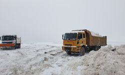 Van'da 341 yerleşim yeri kardan kapalı; okullar da tatil (2)