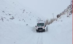 Van'da 341 yerleşim yeri kardan kapalı; okullar da tatil (3)