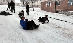 Van'da 341 yerleşim yeri kardan kapalı; okullar da tatil/Ek fotoğraflar