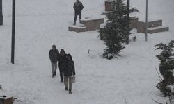 Van'da 341 yerleşim yeri kardan kapalı; okullarda kar tatili (4)