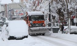 Van'da 569 yerleşim yeri ulaşıma kapandı (3)