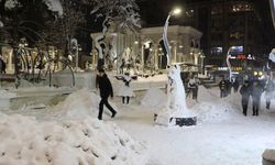 Van'da 569 yerleşim yeri ulaşıma kapandı, okullar tatil edildi (6)