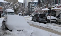 Van'da eğitime 'kar' engeli; 389 yerleşim yeri yolu kapalı
