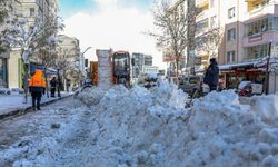 Van'da kardan kapanan 312 yerleşim yerinin yolu ulaşıma açıldı