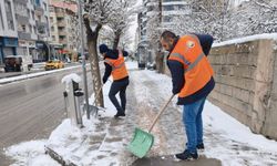 Van'da kardan kapanan 90 yerleşim yeri yolundan 55'i açıldı