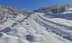 Yolu kapanan köyde iç kanama geçiren kadın, ekipler tarafından hastaneye ulaştırıldı