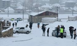 Yüksekova'da kar yağışı etkili oldu (2)