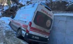 Adana'da buzlanma nedeniyle kayan ambulans şarampole düştü
